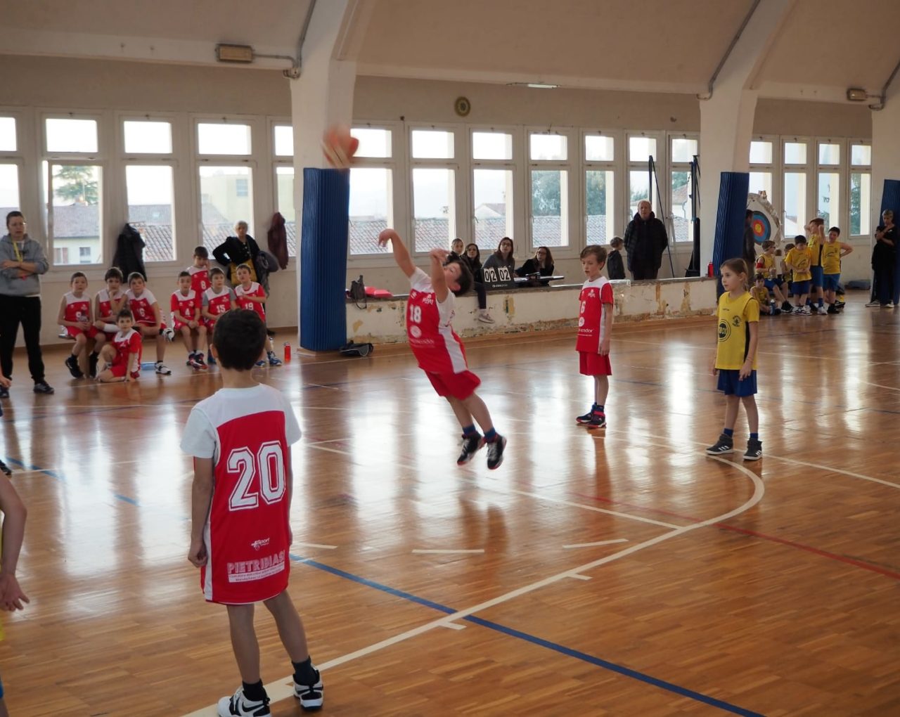 20190206_Sarcedo_4