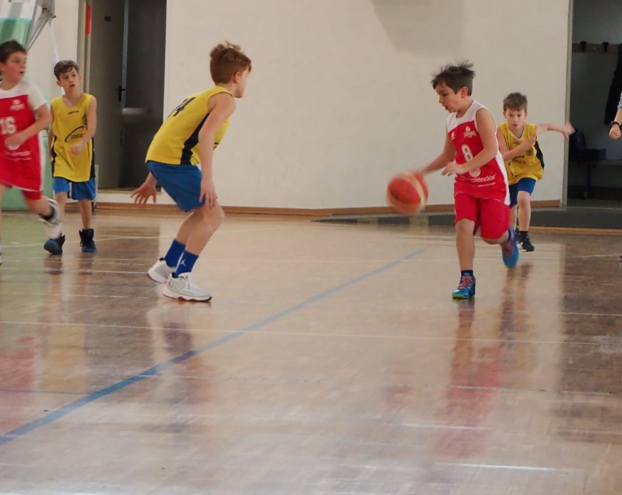 20190206_Sarcedo_6